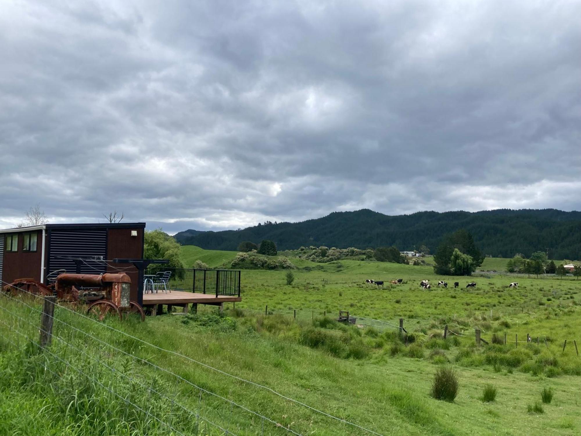 White Pine Bush Cabins Taneatua 外观 照片