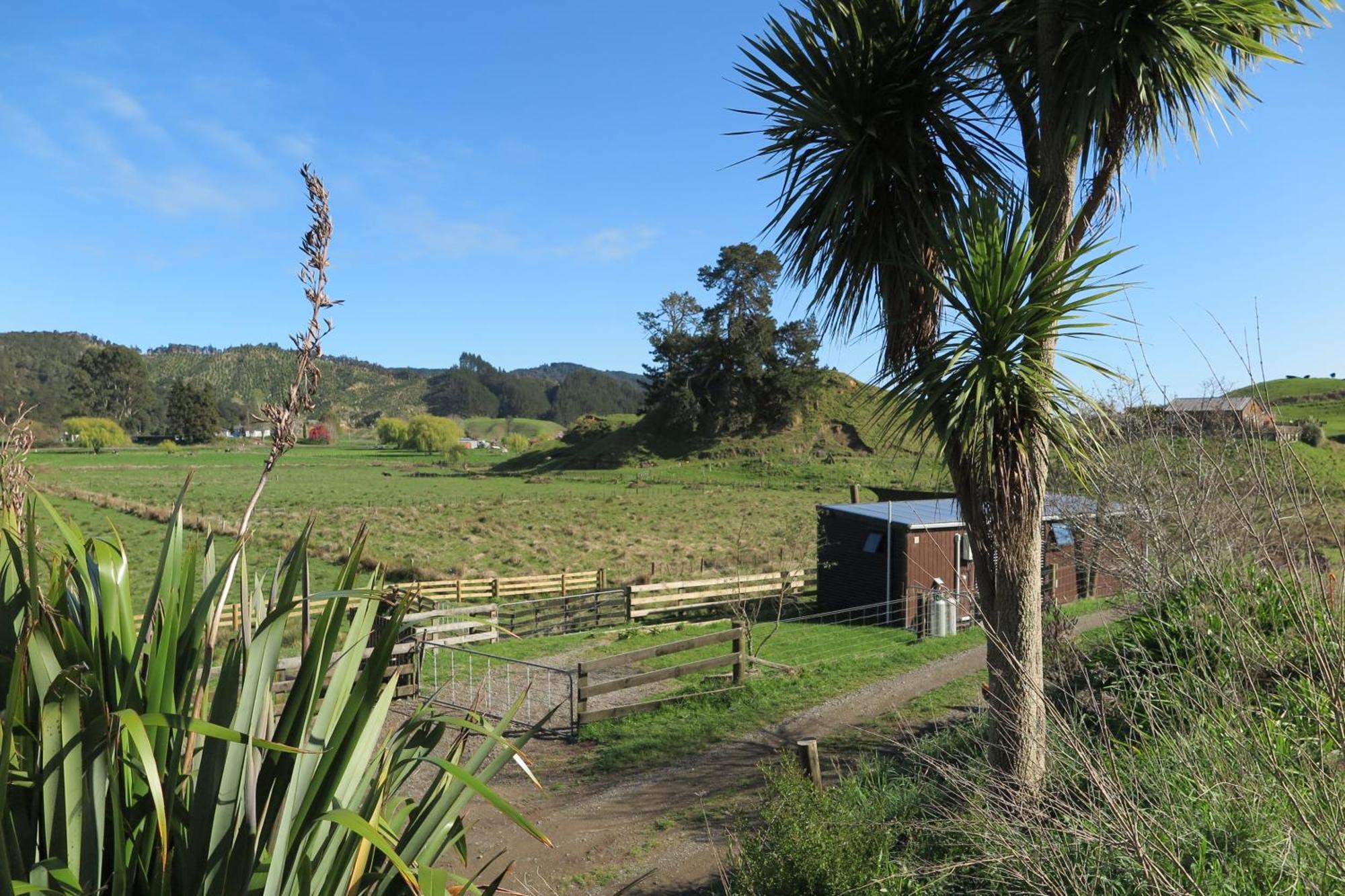 White Pine Bush Cabins Taneatua 外观 照片